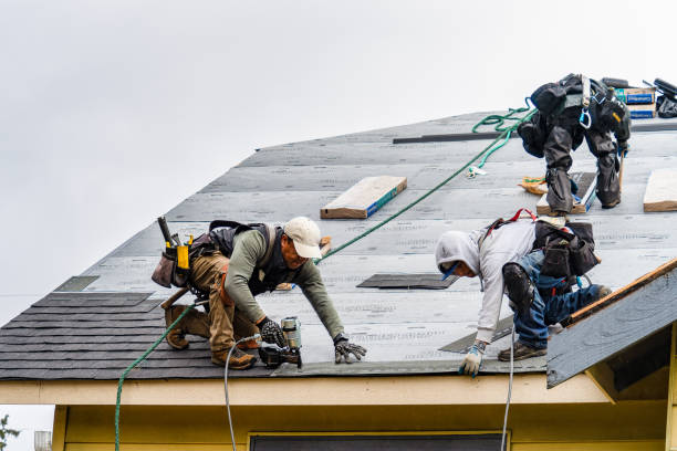 Professional Storm Damage Roof Repair technician working in Kalkaska, MI